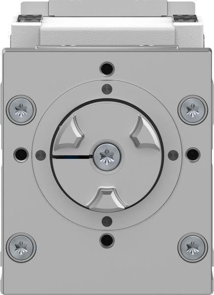 Линейная ось с винтовой передачей ELGC-BS-KF-60-100-12P 8061491 фото